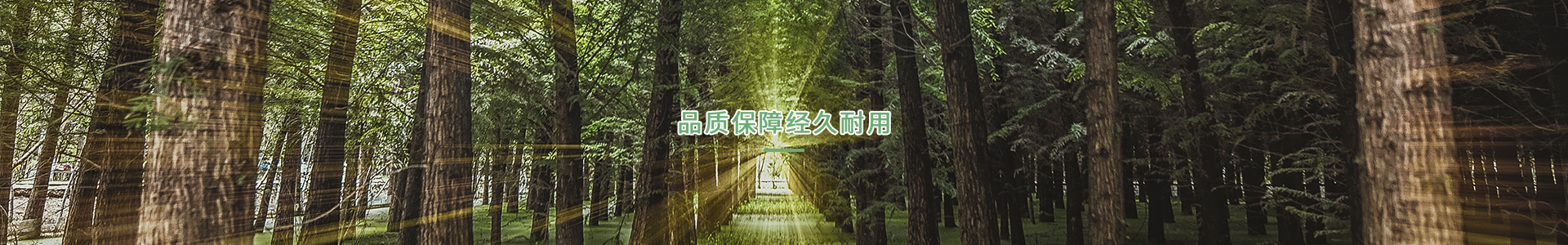 弘文体育vs星空体育